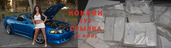 индика Приозерск