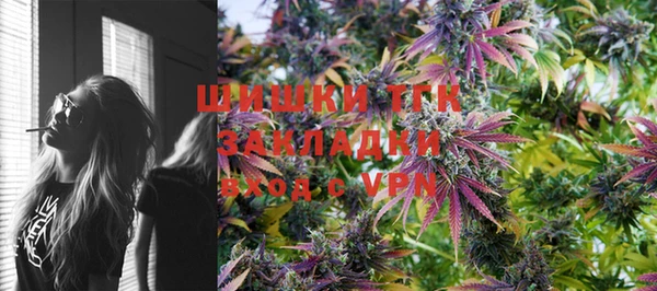 индика Приозерск