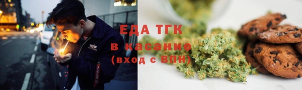 индика Приозерск