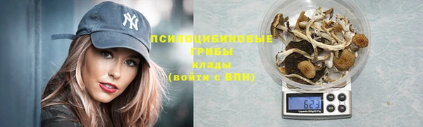 2c-b Покачи