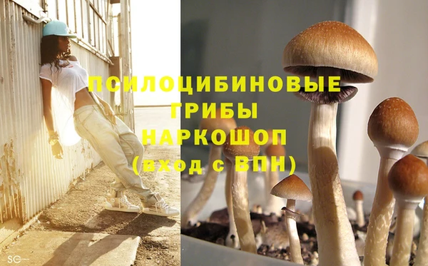 apvp Пролетарск