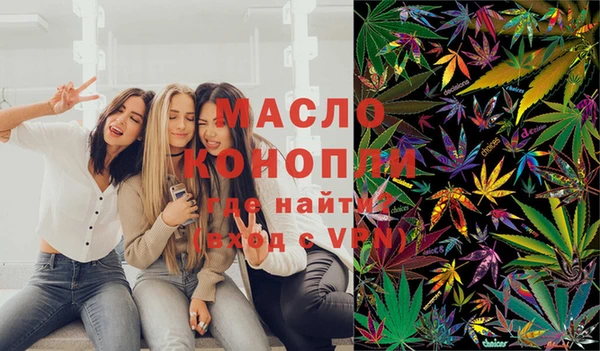 индика Приозерск