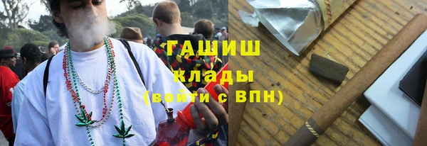 индика Приозерск