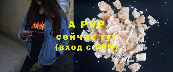 индика Приозерск