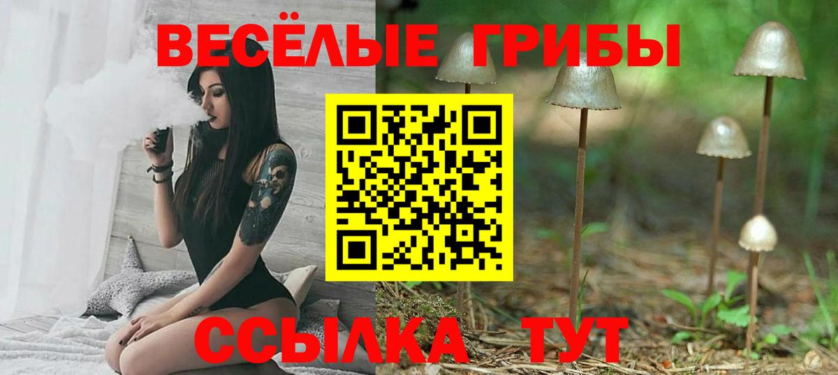 Псилоцибиновые грибы мухоморы  Вязьма  Псилоцибиновые грибы прущие грибы 