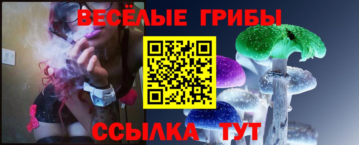Вязьма  COCAIN  А ПВП СК кристаллы  Вход с VPN  Гашиш  Каннабис  Меф кристаллы 